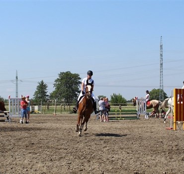 Závody v parkur 2018